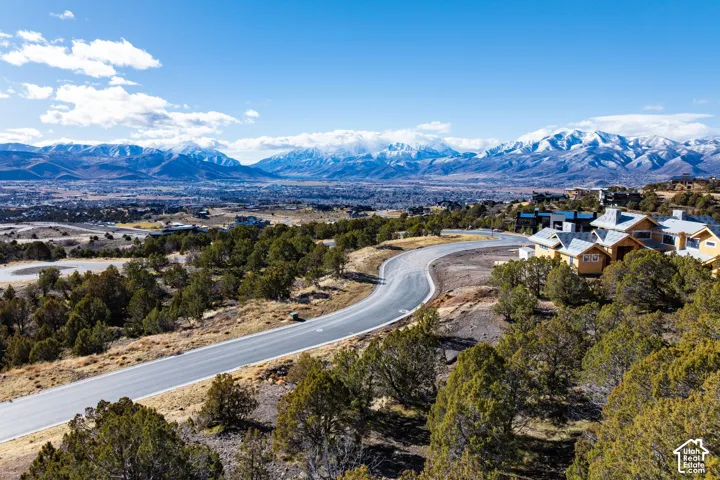 Winding paved road through natural landscaping, distant mountain range, and scattered residences