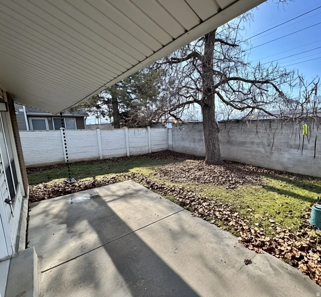 Backyard, open area with side yard along home