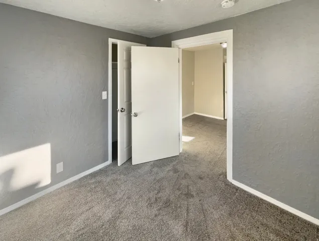 Carpeted room featuring gray textured walls and white trim