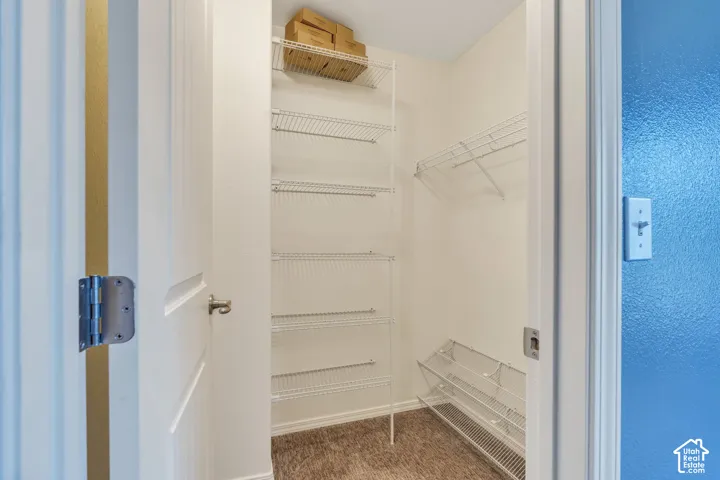 Bedroom #3 walk-in closet