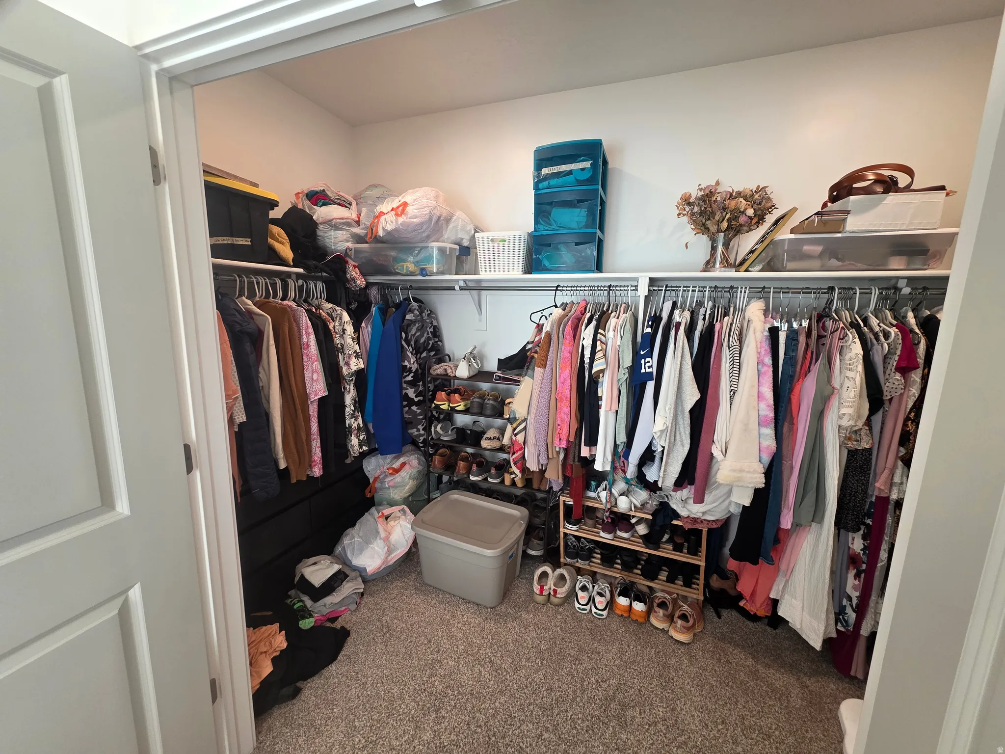 Walk in closet with carpet floors