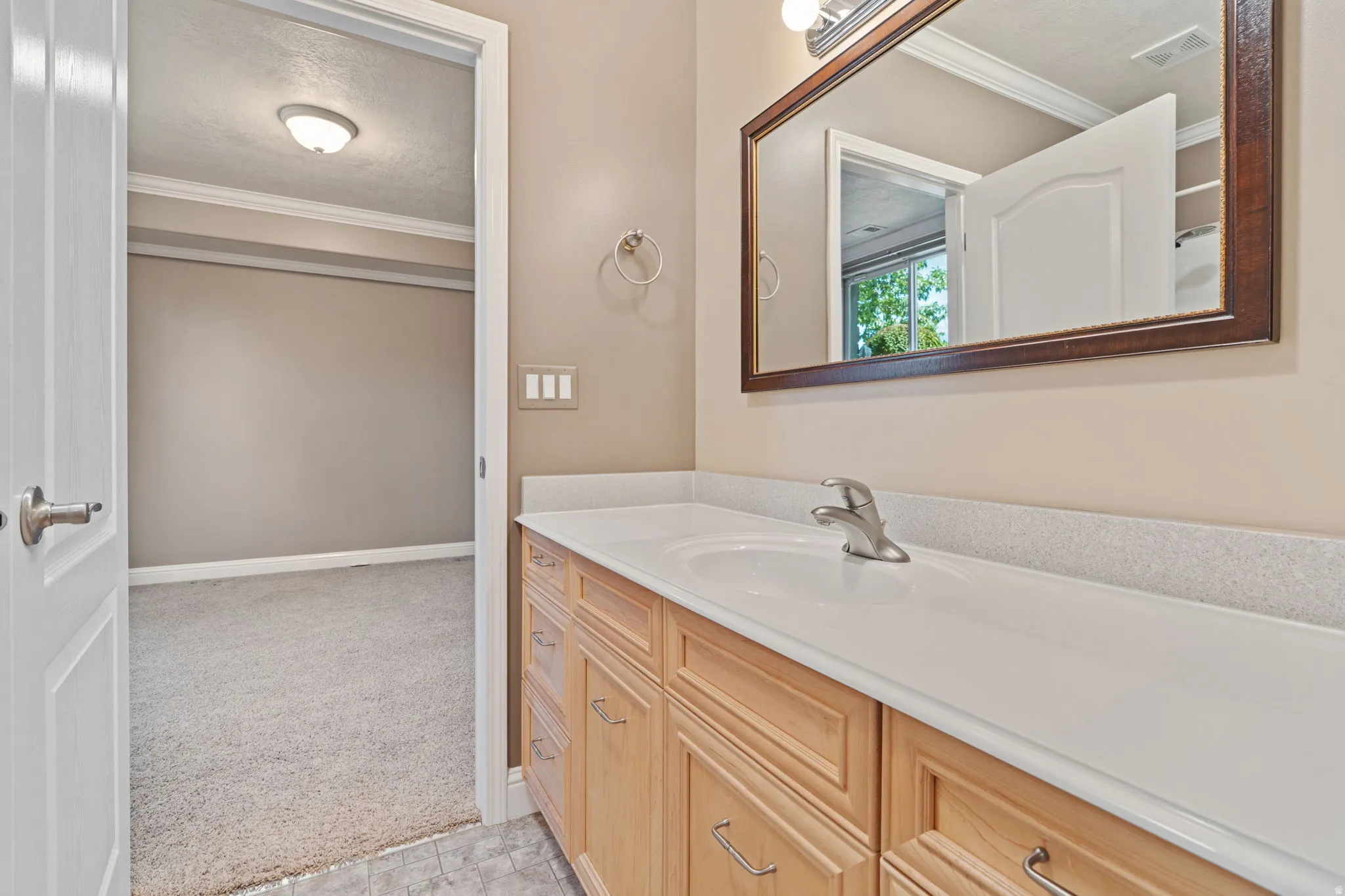 Bathroom with vanity, crown molding, light colored carpet, and a textured ceiling