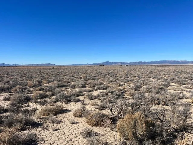 View of mountain backdrop with a desert landscape