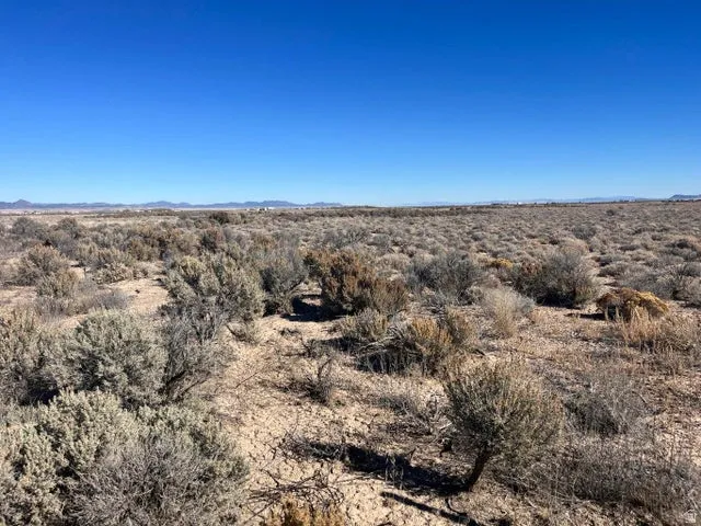 View of undeveloped land