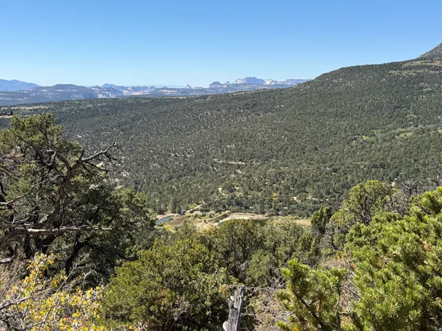 View of mountain background with a heavily wooded area