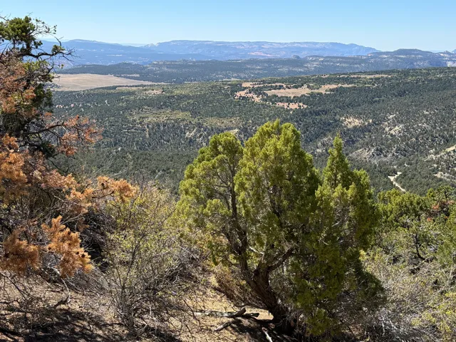 Mountain view