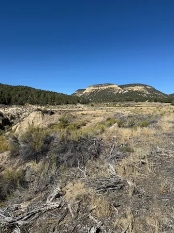 View of mountain backdrop