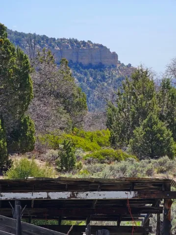 View of mountain backdrop featuring a forest