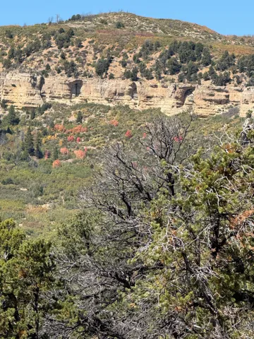 View of mountain background