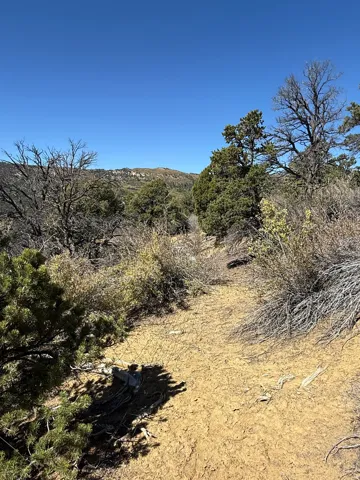 View of undeveloped land