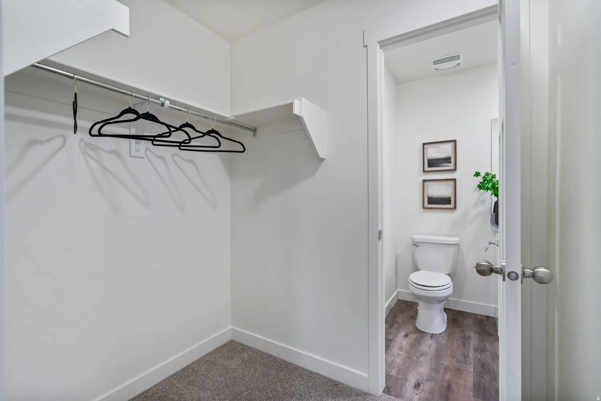 Walk in closet featuring dark wood-style floors