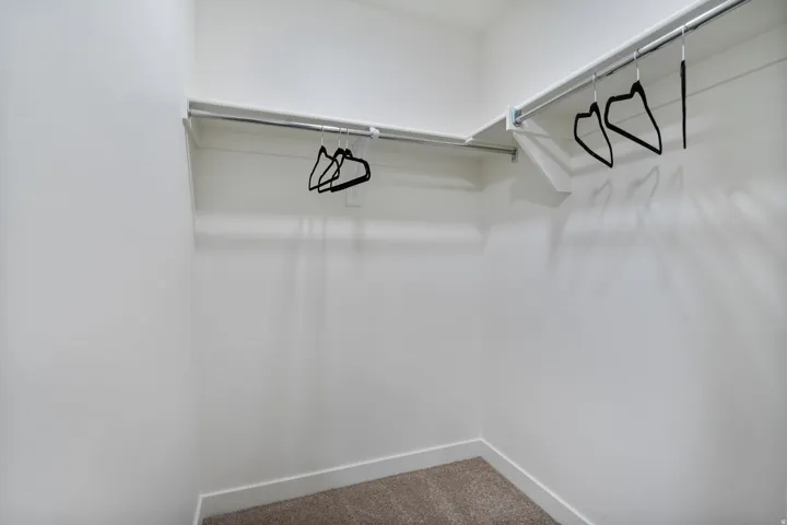 Spacious primary bedroom closet with carpet