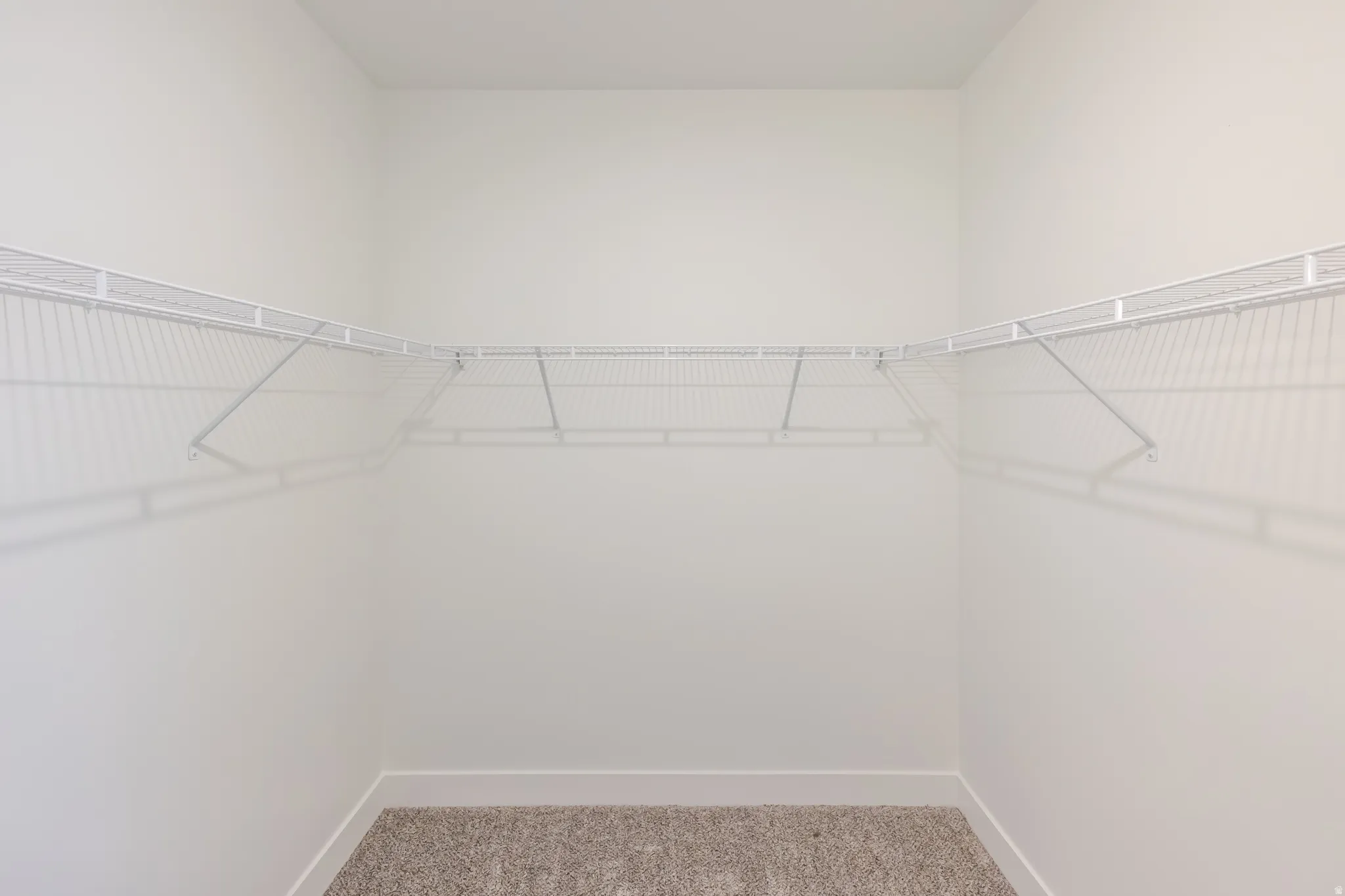 Walk-in closet featuring light gray walls, white wire shelving, a built-in hanging rod, and neutral carpet flooring