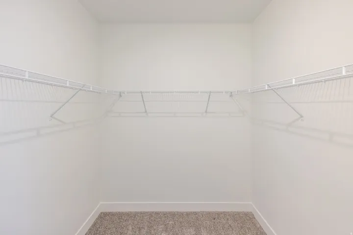 Walk-in closet featuring light gray walls, white wire shelving, a built-in hanging rod, and neutral carpet flooring