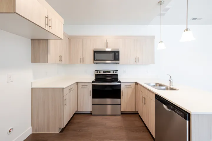 Modern kitchen featuring light wood-finish cabinetry, stainless steel appliances, a stainless steel double basin sink, solid surface countertops, and dark wood-finish flooring