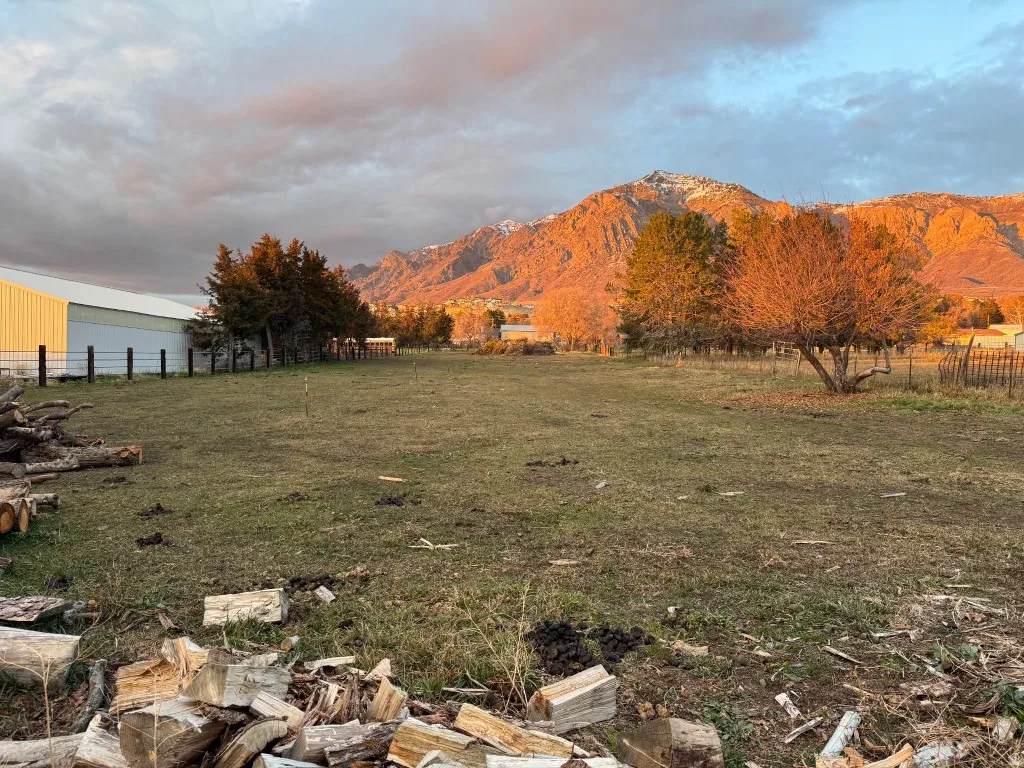 Mountain view with rural landscape