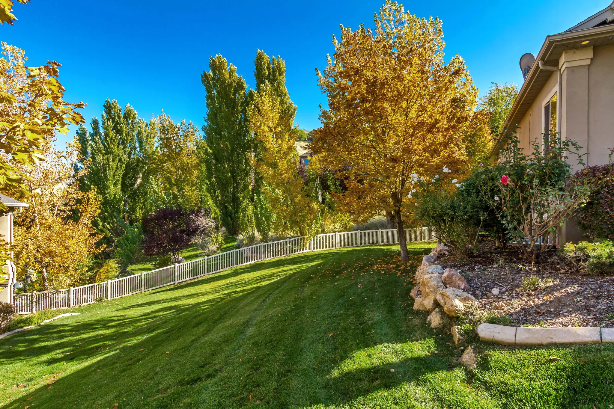 View of fenced backyard