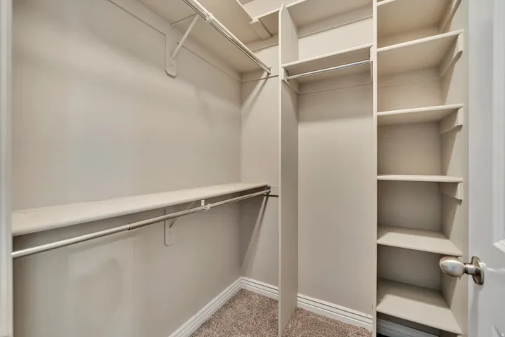 Walk in closet featuring light carpet