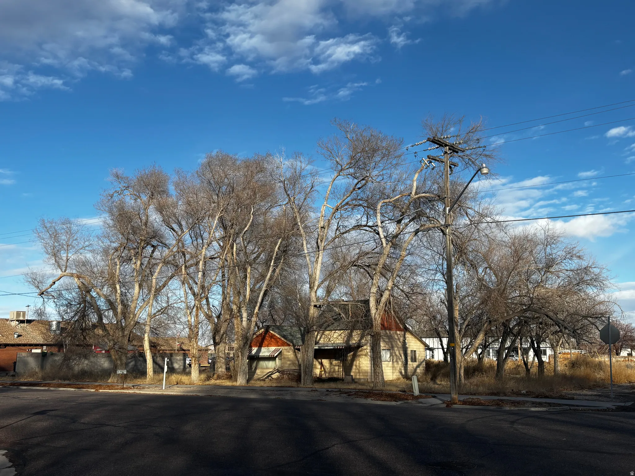 View of asphalt road featuring curbs and street lights