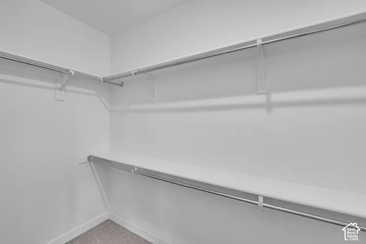 Spacious closet with carpet floors