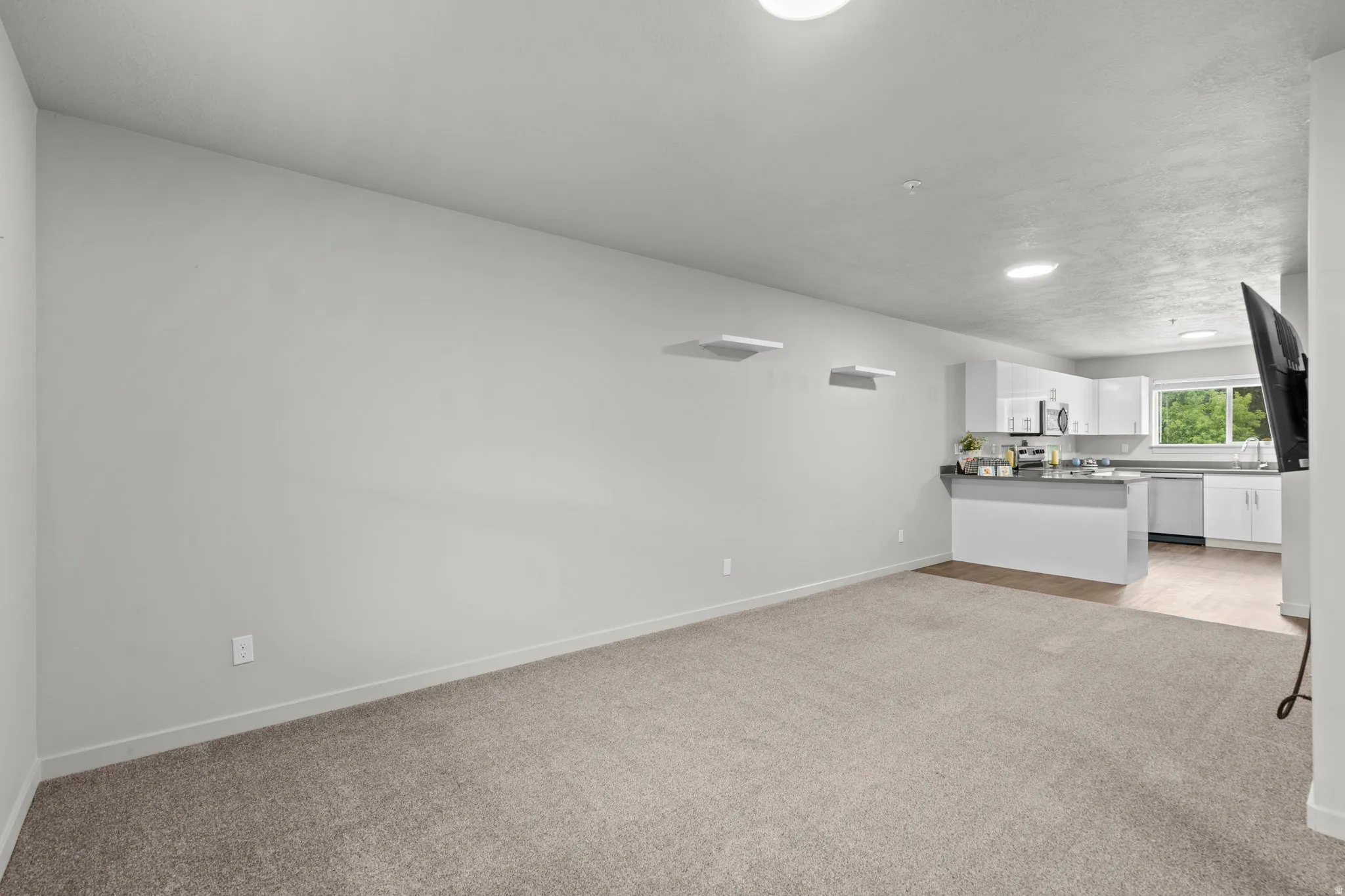 Unfurnished living room featuring light colored carpet and baseboards