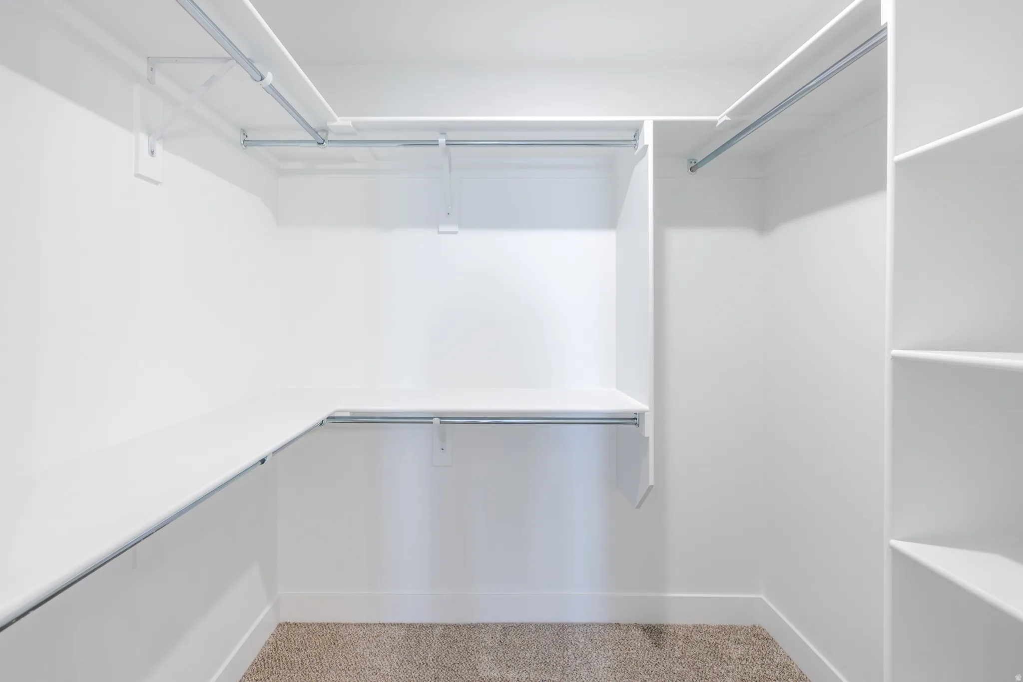 White walk-in closet featuring built-in shelving, multiple hanging rods, and neutral-toned carpet flooring