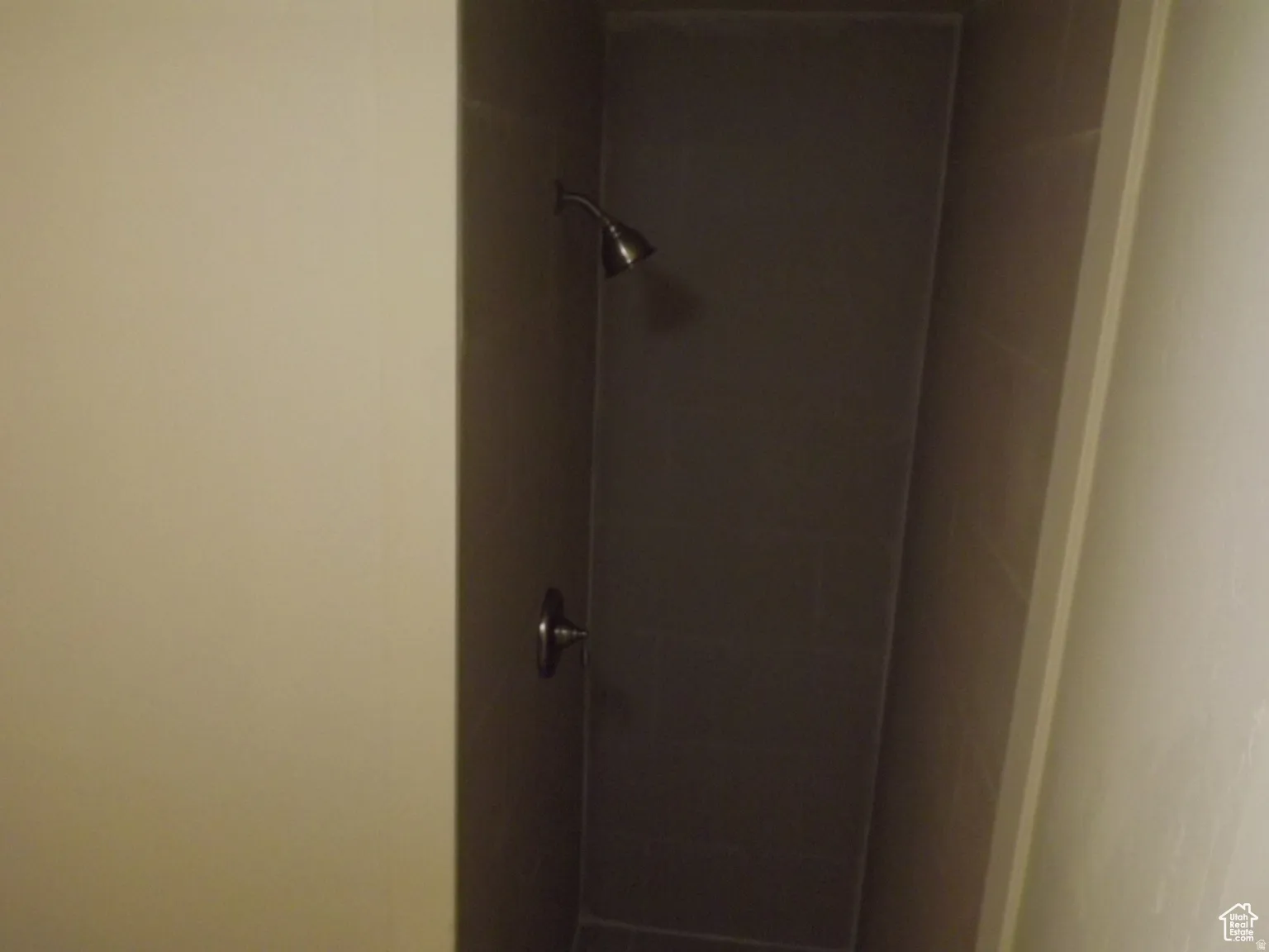 Bathroom view of a shower stall