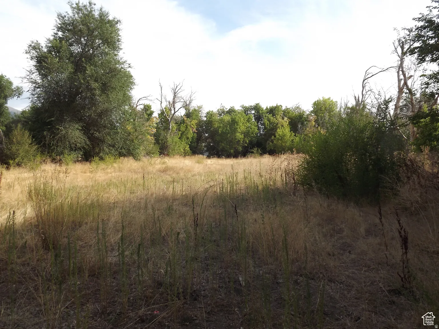 View of land behind the property