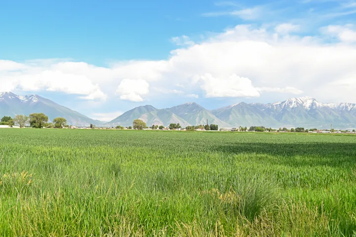 Mountain view with rural landscape