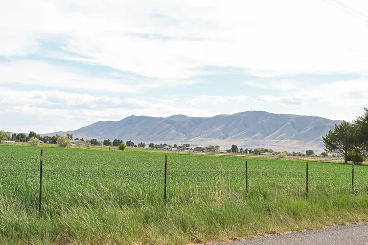 Mountain view with rural landscape