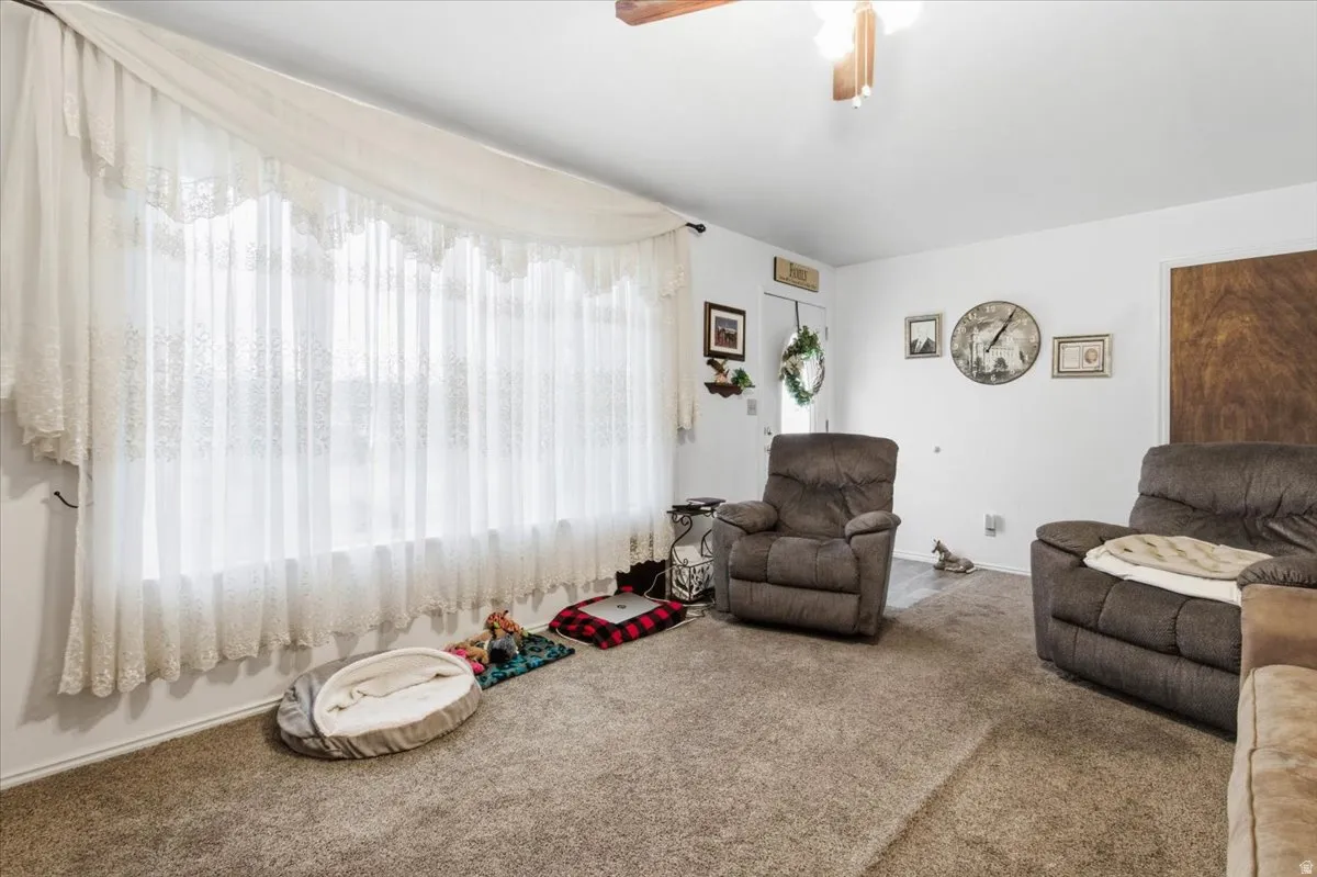 Living area featuring carpet and a ceiling fan