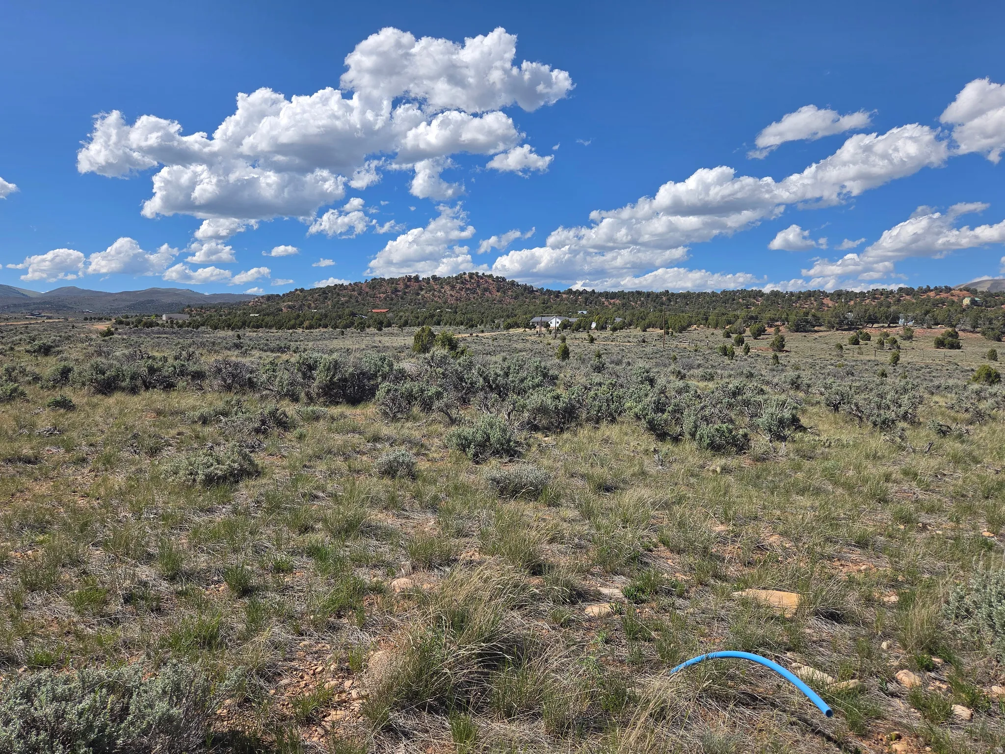Beautiful Property Views!