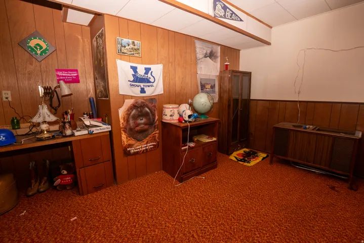 Carpeted home office featuring wood walls and a wainscoted wall