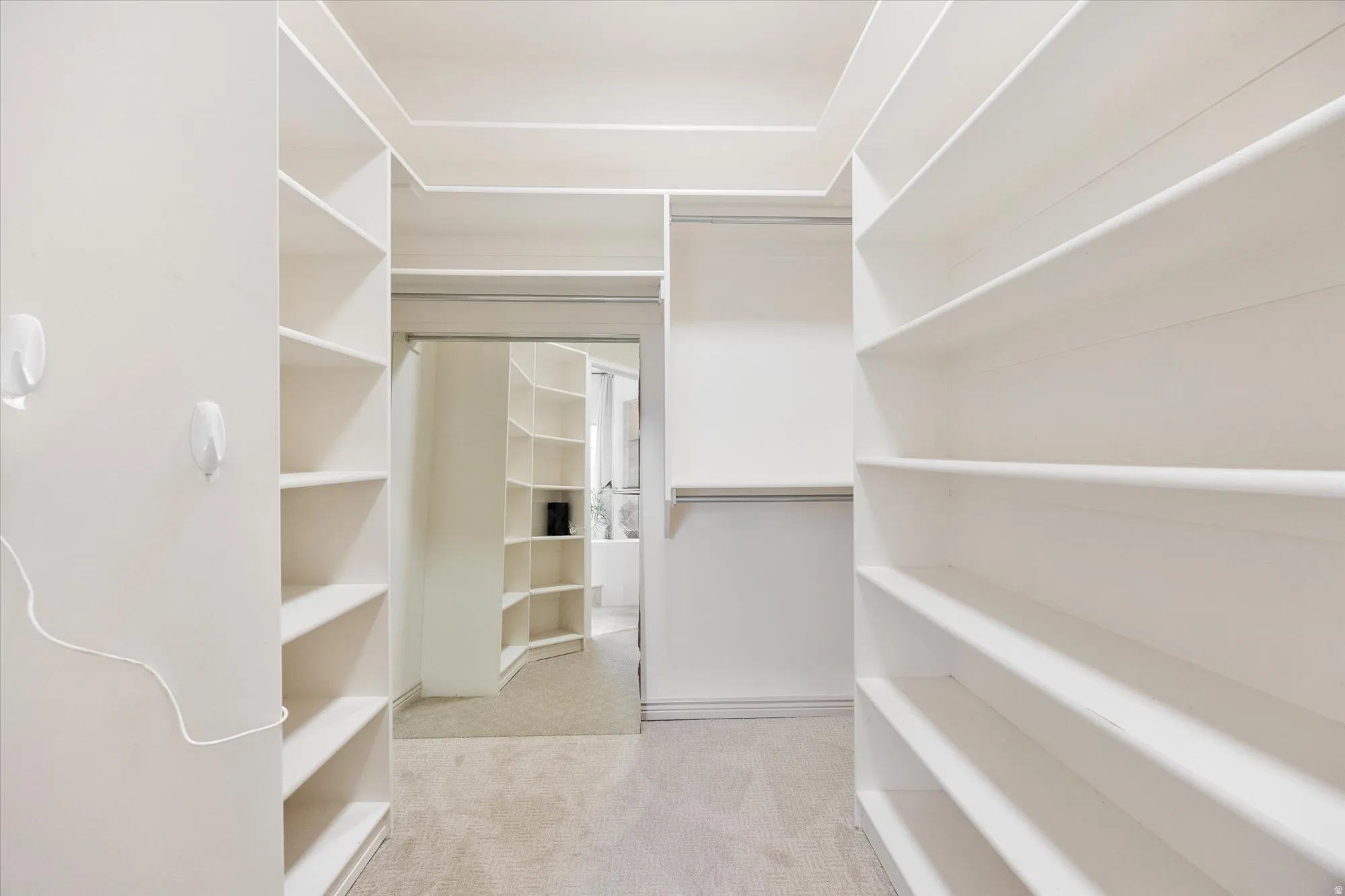 Spacious closet featuring light carpet