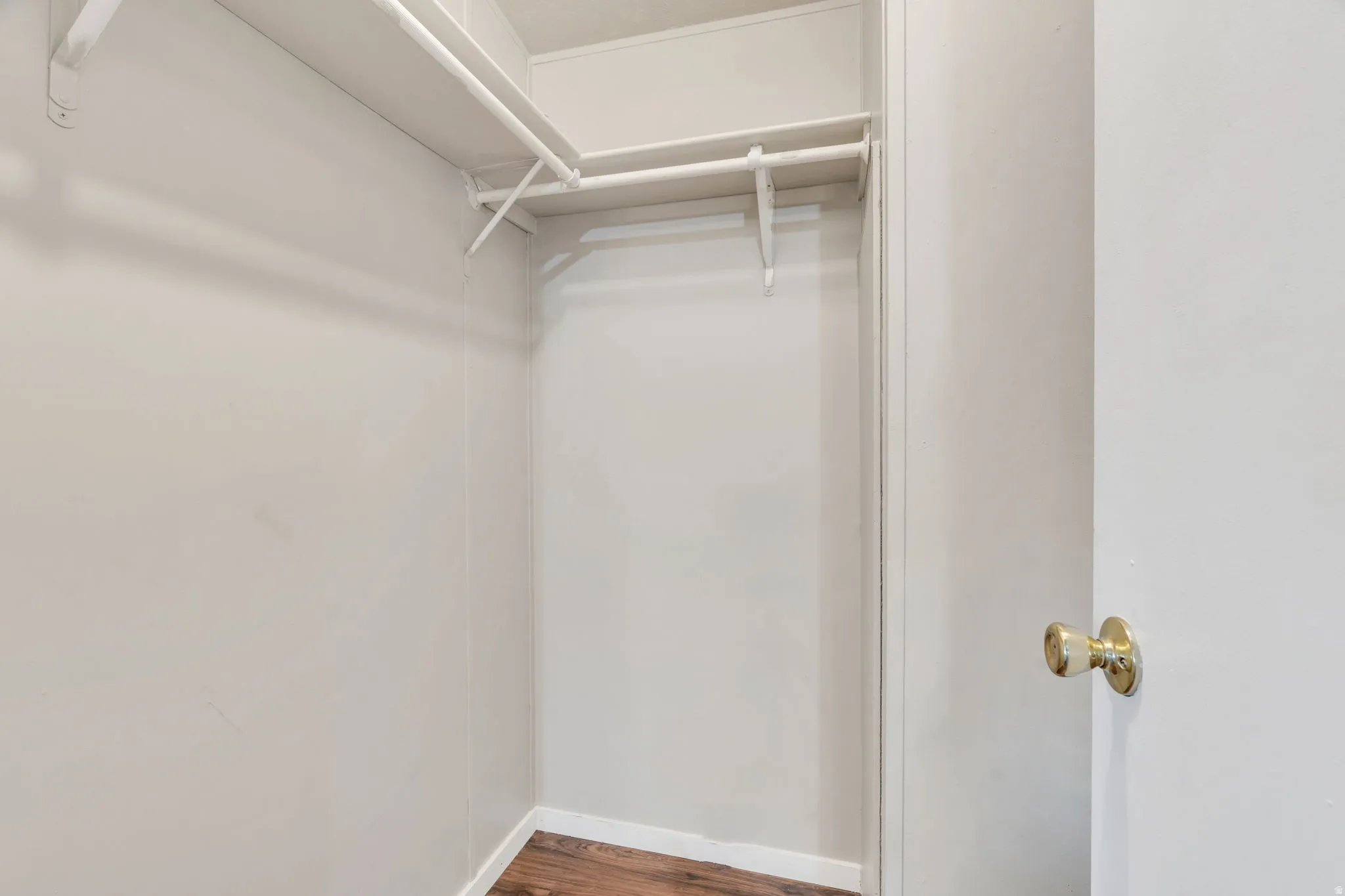 Spacious closet featuring dark wood-style floors