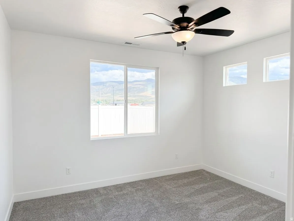 Plush grey carpeting, white wall finishes, and a dark-toned ceiling fan with integrated lighting