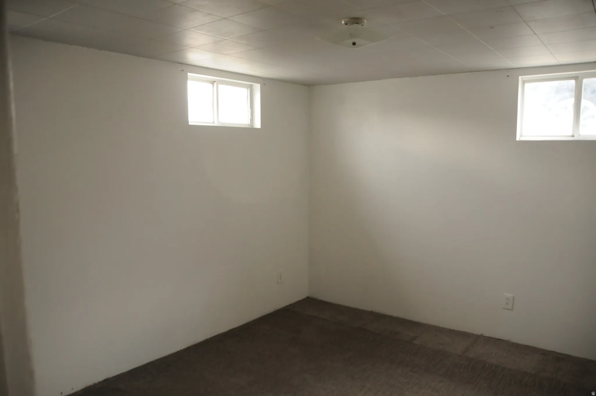 Basement featuring carpet flooring