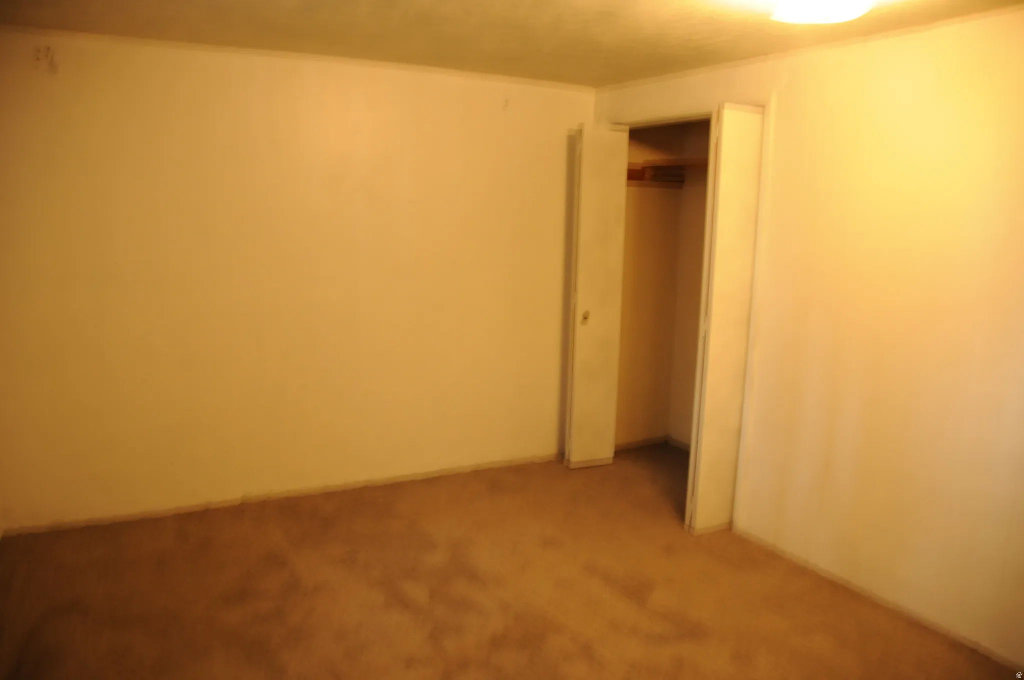 Unfurnished bedroom featuring carpet flooring and a closet