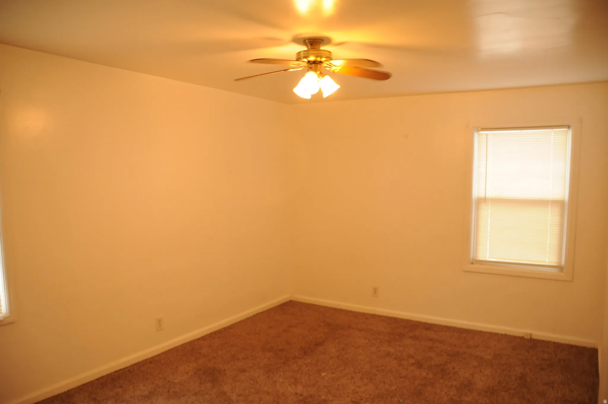 Spare room featuring plenty of natural light, carpet floors, and ceiling fan