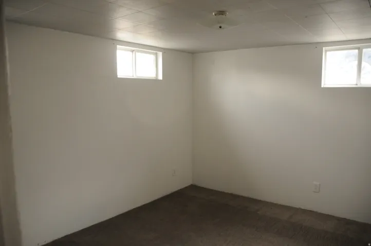 Basement featuring carpet flooring