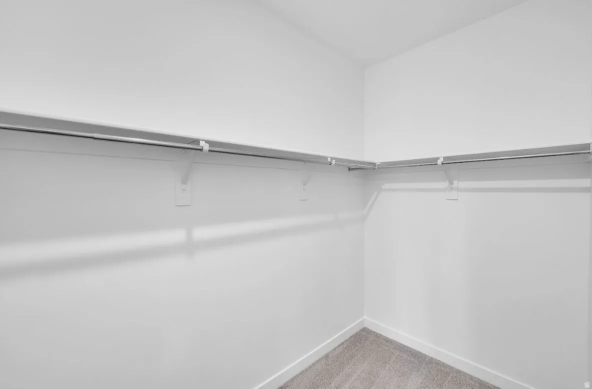 Spacious closet featuring light carpet