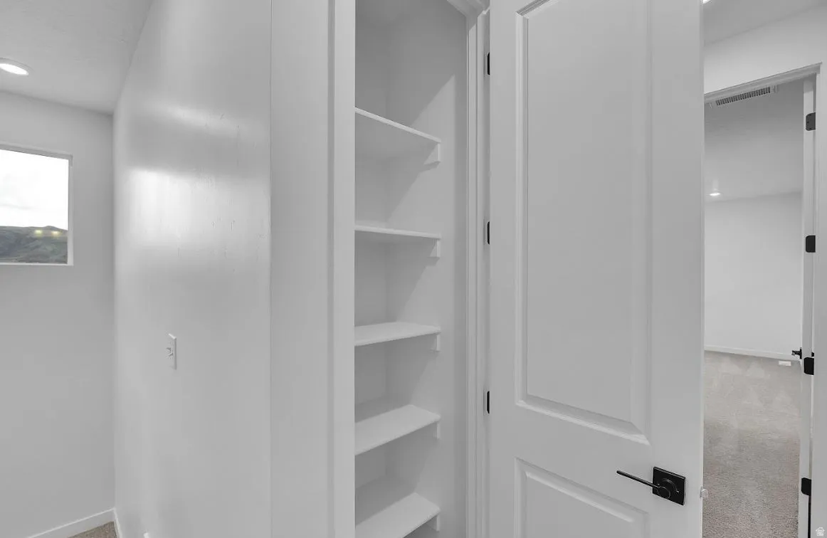 Spacious closet with carpet floors