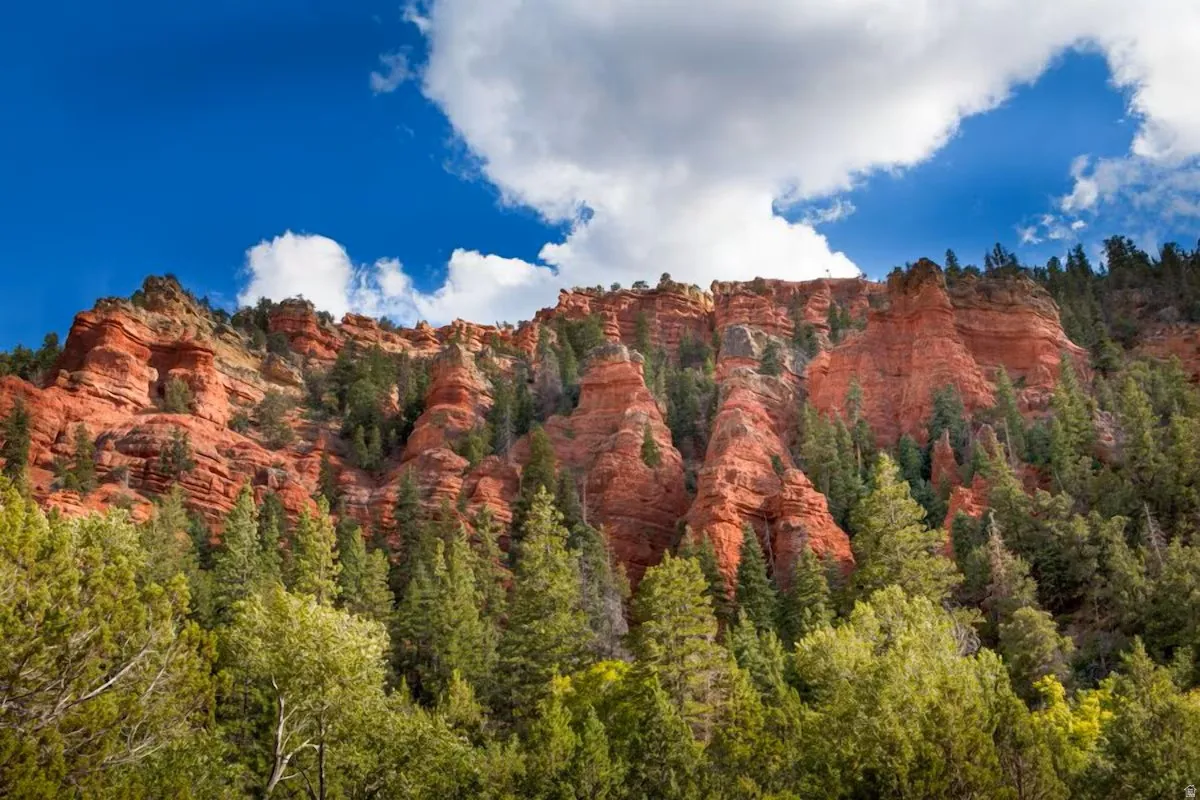 View of mountain backdrop featuring a heavily wooded area