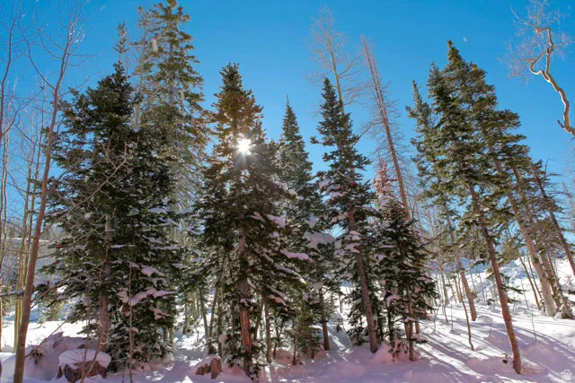 Snow covered property