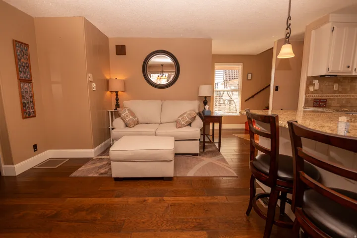 Living area featuring dark wood-type flooring and a textured ceiling