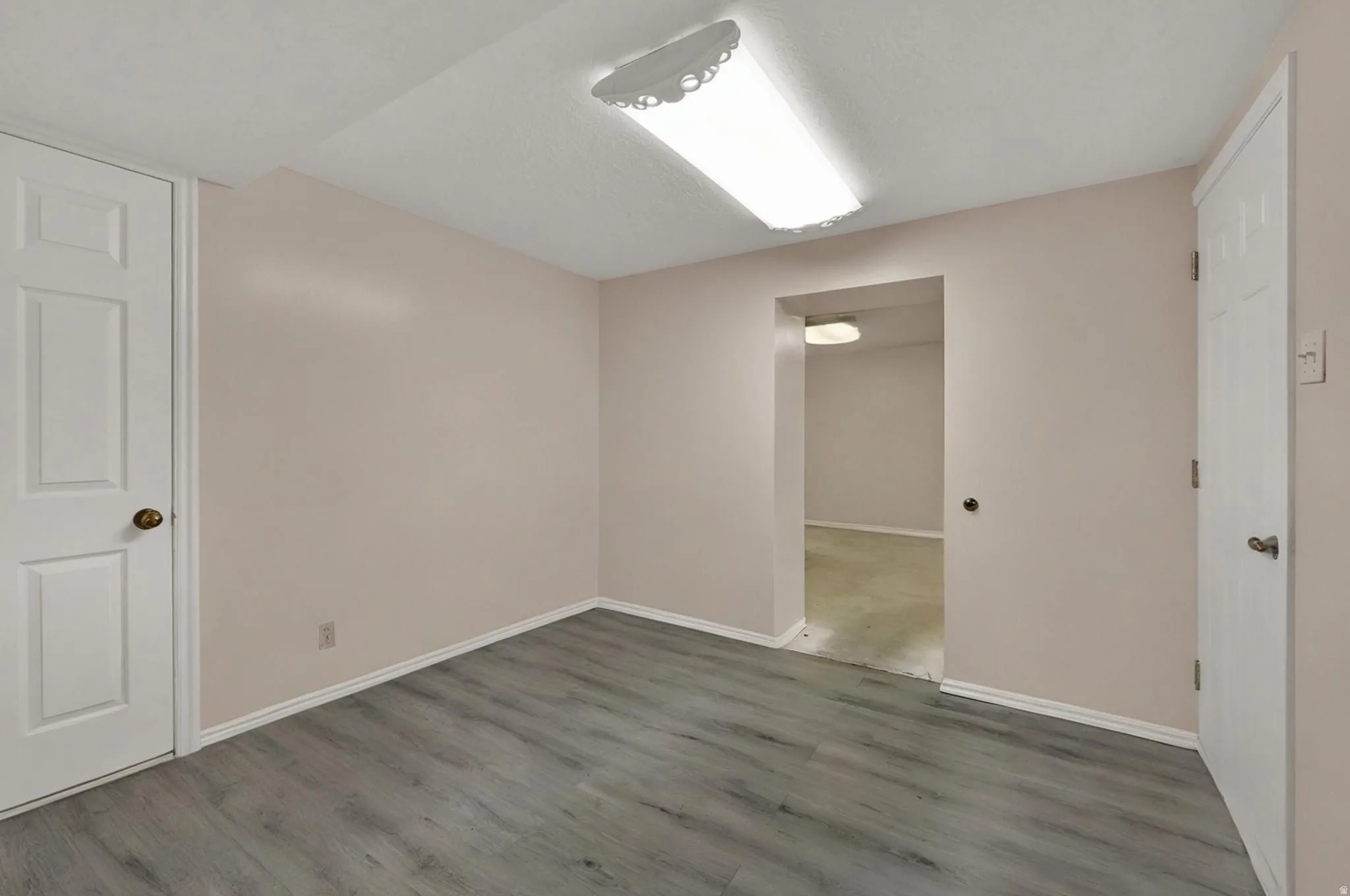 Flex room in basement