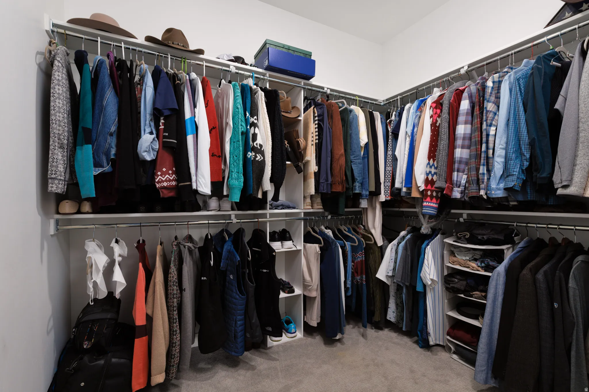 Walk in closet featuring light carpet.