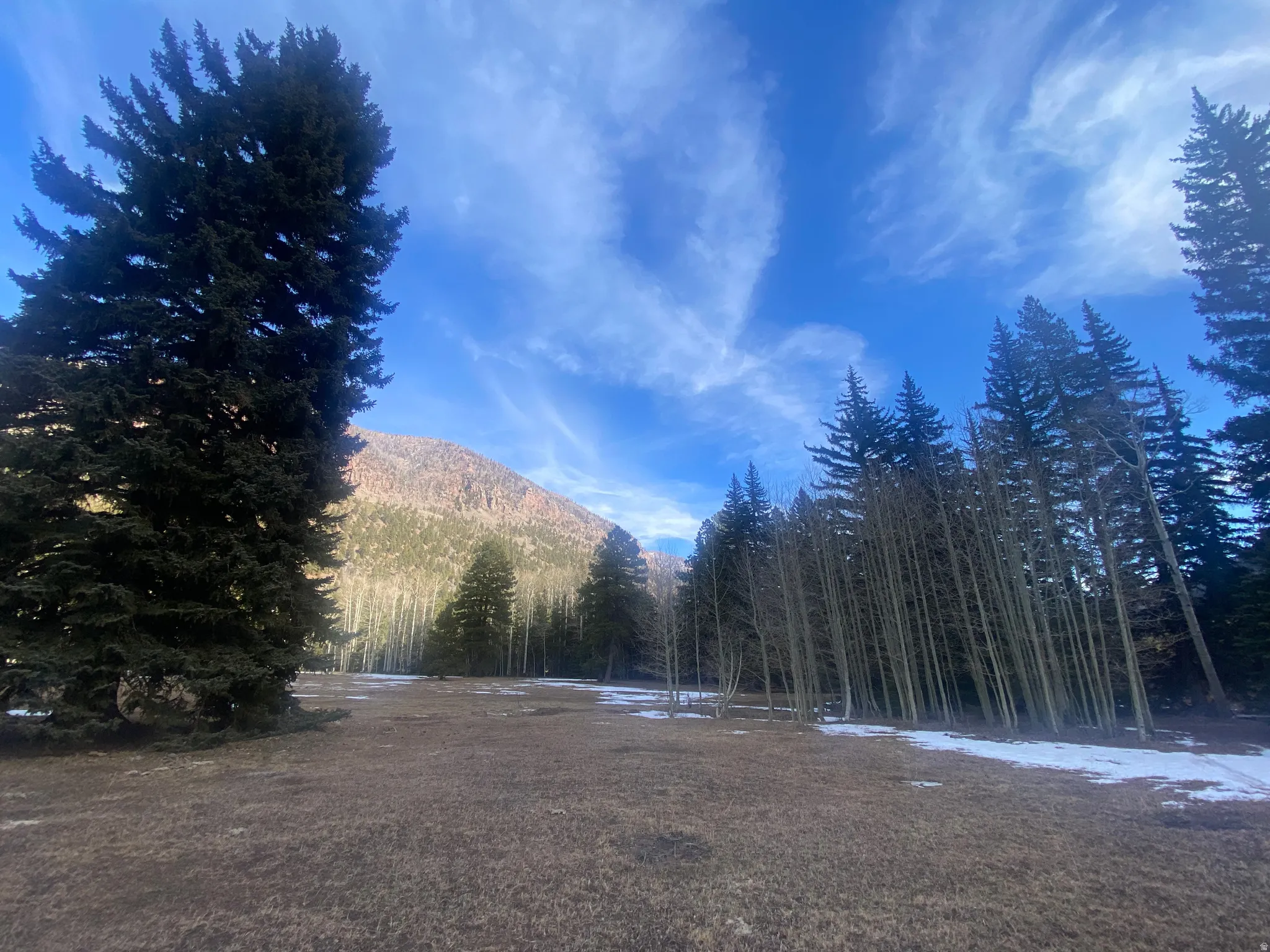 View of yard with a wooded view and a mountain view