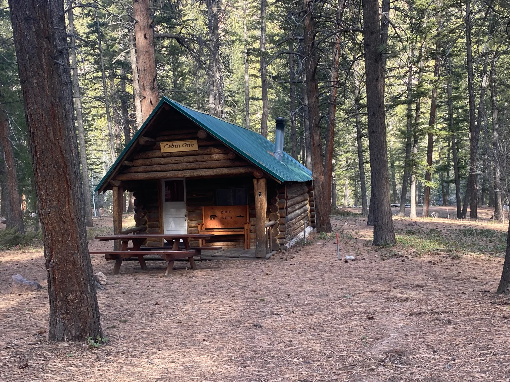 View of front of home with log exterior, an outbuilding, and a metal roof