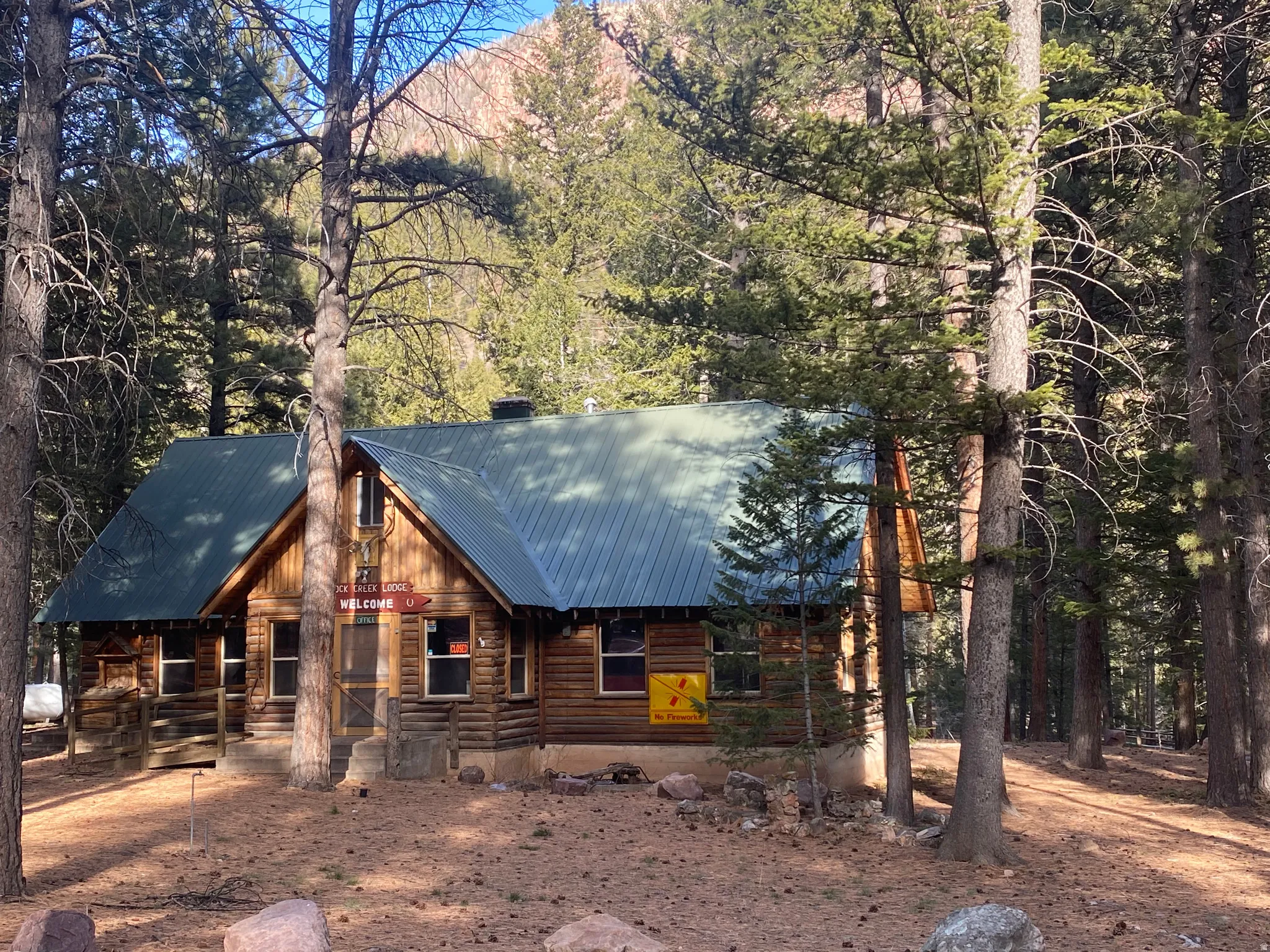 View of front of house with a metal roof, a porch, and a view of trees